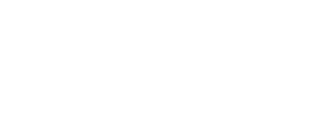 新内外綿×杢糸 ヒストリー History